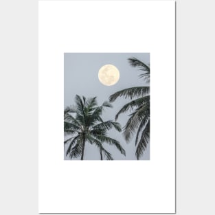 Full Moon Posters and Art